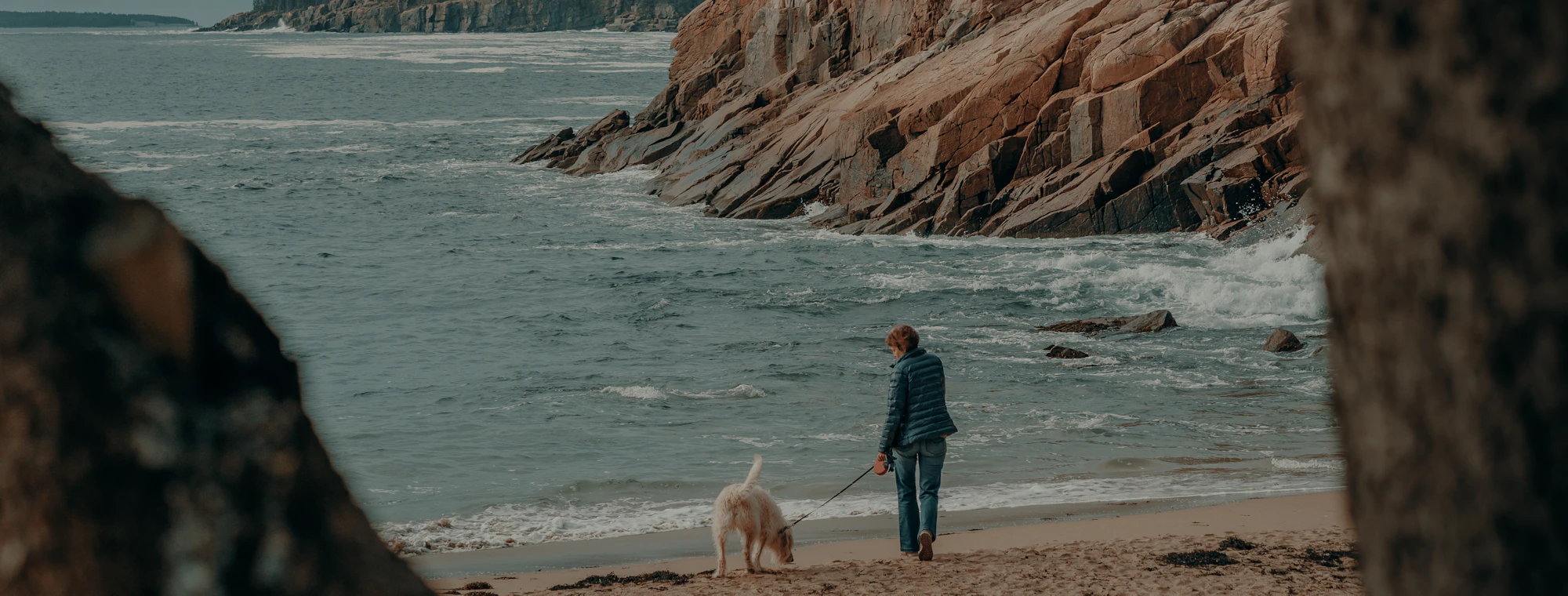 A person and their dog walking along a rocky coastline