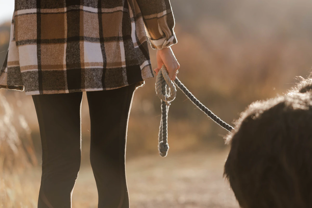 A hand holding a rope lead while walking with a dog
