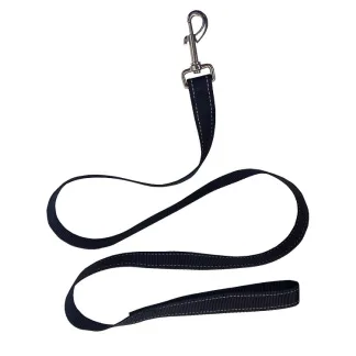 Nylon Flat walking lead
